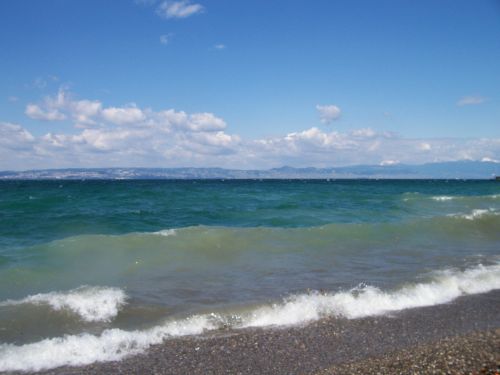 100_0223_small.jpg