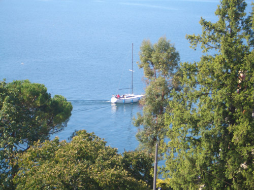 CIMG2212.jpg